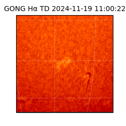 gong - 2024-11-19T11:00:22