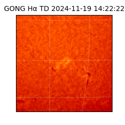 gong - 2024-11-19T14:22:22