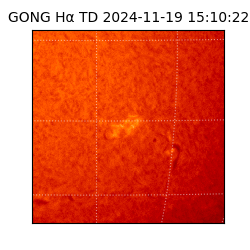 gong - 2024-11-19T15:10:22