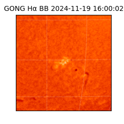 gong - 2024-11-19T16:00:02