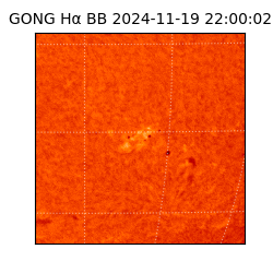 gong - 2024-11-19T22:00:02