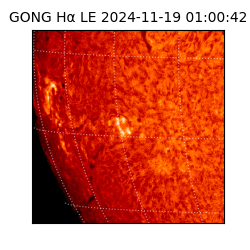 gong - 2024-11-19T01:00:42