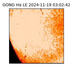 gong - 2024-11-19T03:02:42