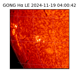 gong - 2024-11-19T04:00:42