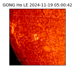 gong - 2024-11-19T05:00:42