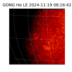 gong - 2024-11-19T08:16:42