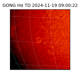 gong - 2024-11-19T09:00:22