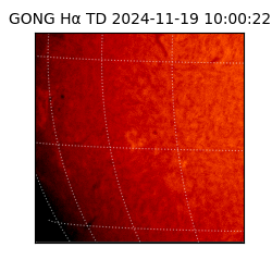 gong - 2024-11-19T10:00:22