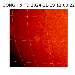 gong - 2024-11-19T11:00:22