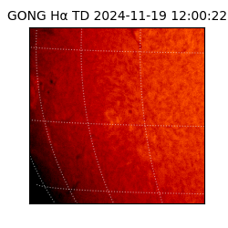 gong - 2024-11-19T12:00:22