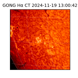 gong - 2024-11-19T13:00:42