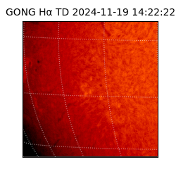 gong - 2024-11-19T14:22:22