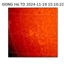 gong - 2024-11-19T15:10:22