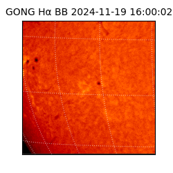 gong - 2024-11-19T16:00:02