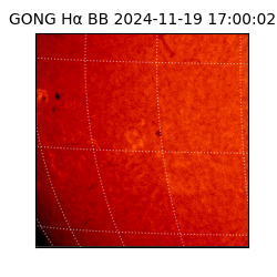 gong - 2024-11-19T17:00:02