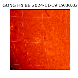 gong - 2024-11-19T19:00:02