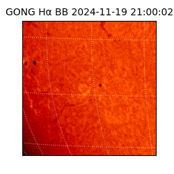 gong - 2024-11-19T21:00:02