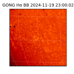 gong - 2024-11-19T23:00:02