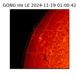 gong - 2024-11-19T01:00:42