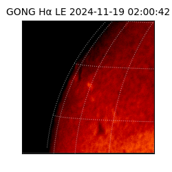 gong - 2024-11-19T02:00:42