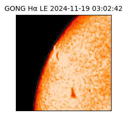 gong - 2024-11-19T03:02:42