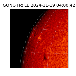 gong - 2024-11-19T04:00:42