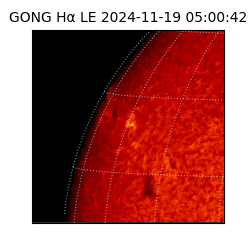 gong - 2024-11-19T05:00:42