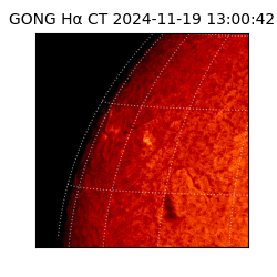 gong - 2024-11-19T13:00:42