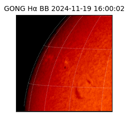 gong - 2024-11-19T16:00:02