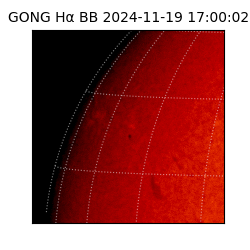 gong - 2024-11-19T17:00:02