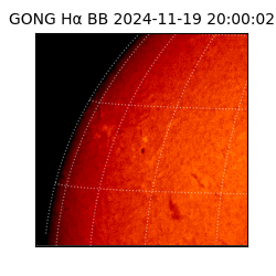 gong - 2024-11-19T20:00:02