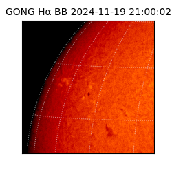 gong - 2024-11-19T21:00:02