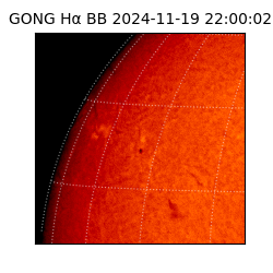 gong - 2024-11-19T22:00:02