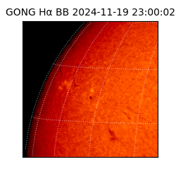 gong - 2024-11-19T23:00:02