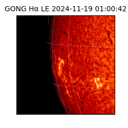 gong - 2024-11-19T01:00:42