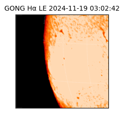 gong - 2024-11-19T03:02:42