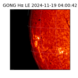 gong - 2024-11-19T04:00:42