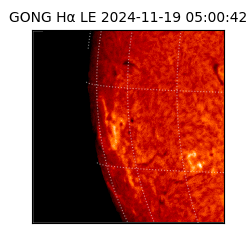 gong - 2024-11-19T05:00:42