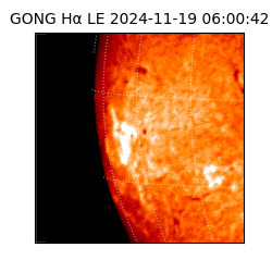 gong - 2024-11-19T06:00:42