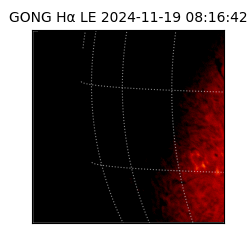 gong - 2024-11-19T08:16:42