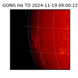 gong - 2024-11-19T09:00:22