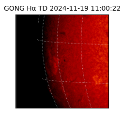 gong - 2024-11-19T11:00:22