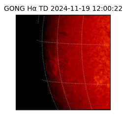 gong - 2024-11-19T12:00:22