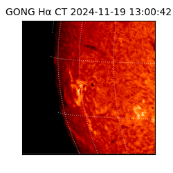 gong - 2024-11-19T13:00:42