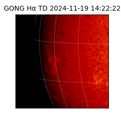 gong - 2024-11-19T14:22:22