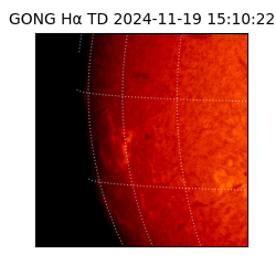 gong - 2024-11-19T15:10:22