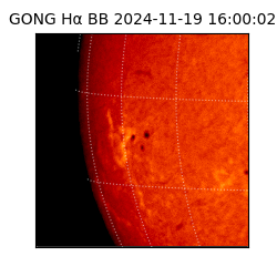 gong - 2024-11-19T16:00:02