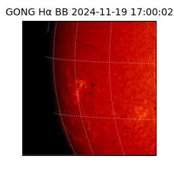 gong - 2024-11-19T17:00:02