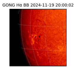 gong - 2024-11-19T20:00:02