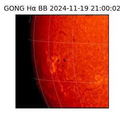 gong - 2024-11-19T21:00:02